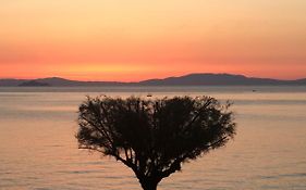 Studio Rio Marina sul mare AC